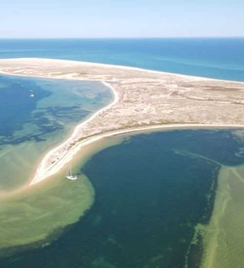 Tour by Ria Formosa 5h, 3 stops ( Islands )
